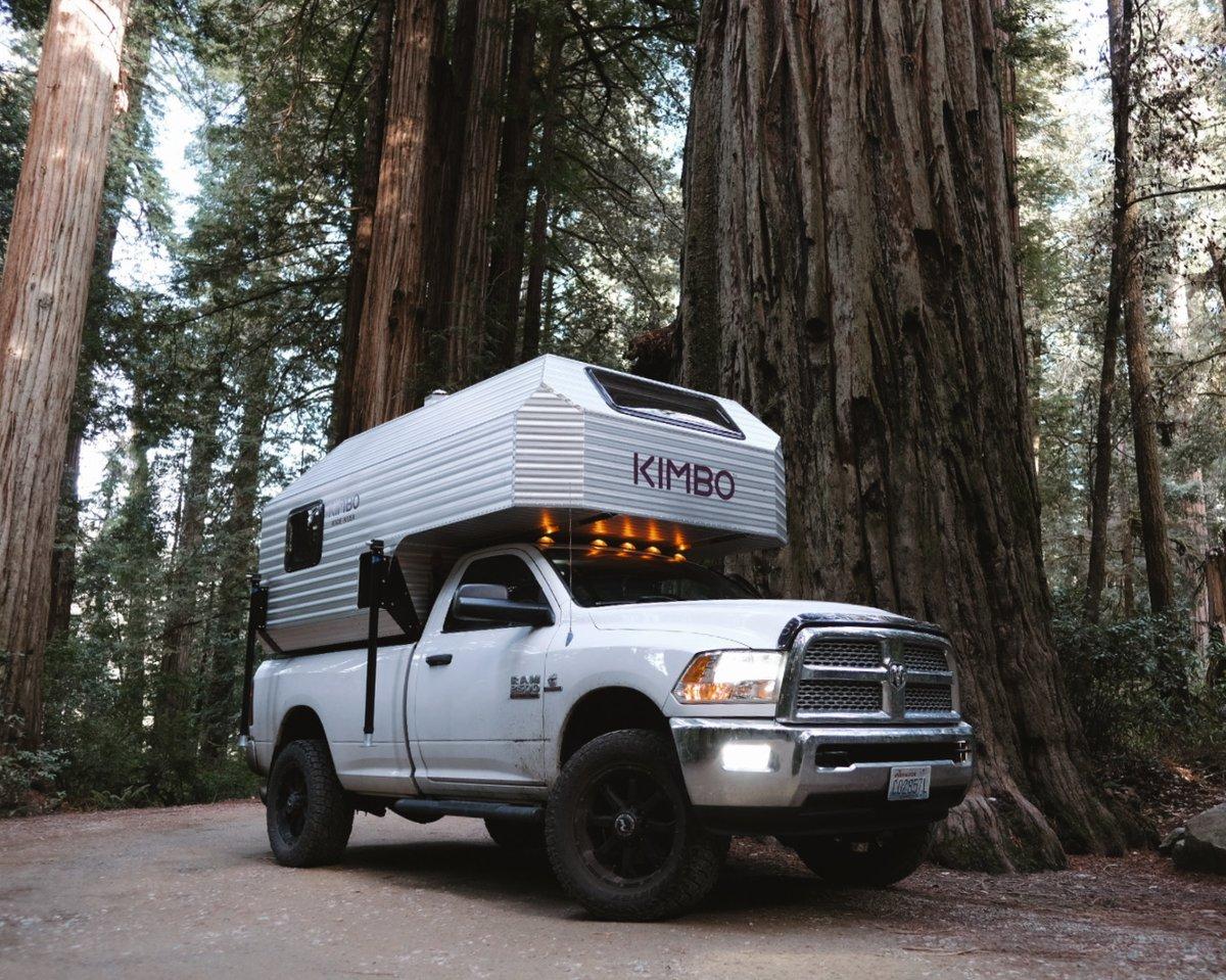 White Dodge Ram 2500 with the Kimbo 8 hard-side aluminum truck bed camper installed, photographed front-three-quarter at the base of a towering coastal redwood in northern California, the cabover undermount LED lights glowing warm beneath the cabover.